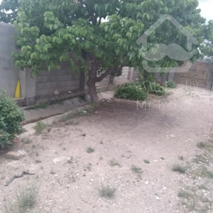 فروش زمین خانه باغ در بسطام - شاهرود