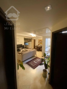 ۶۰ متری یک خوابه شیک