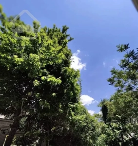 آپارتمان ۱۷۵متری سه خواب(لوکیشن عالی)