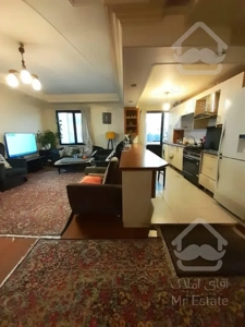 ۸۵متر دوخواب فول امکانات سالن پرده خور پونک منطقه ۲