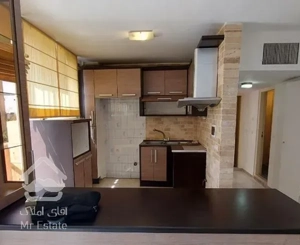 وسک ۵۵ متر چشم انداز کل تهران