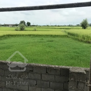 فرووووش ، جاده سرخرود بافت مسکونی