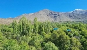 ۹۰۰ متر‌زمین در امامه