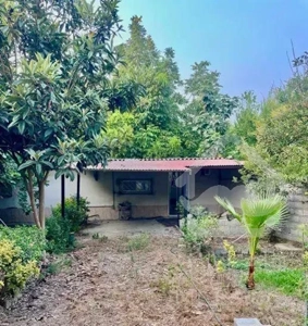 * اجاره ویلا باغ دنج و خوش ‌منظره *فقط خانواده