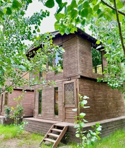 لوکس‌نشینی در فضایی طبیعی