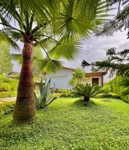 خونه باغ رویایی ۳۰۰متری/بهشت همین جاست