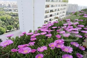 آپارتمان دو خوابه 145متری در برج باغ شهرک امید