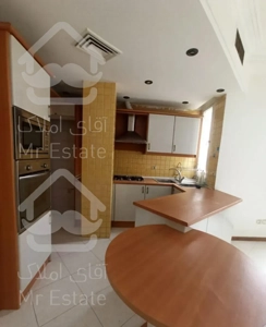 58متر1خواب/غرق در نور/نیمه فرنیش بوش(مناسب مجرد)