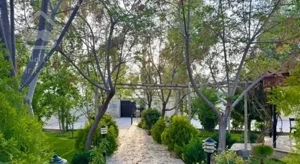 باغ ویلا زیبا و درختی ۹۰۰ متر