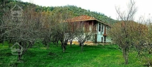 اجاره ویلای جنگلی تراس دار در تالش