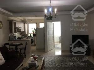 ۶۳متری یک خوابه دامپزشکی