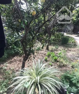 240مترخانه سراآهنگرکلابیشه سر(سند)