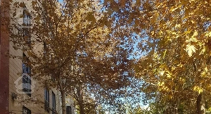 آپارتمان آزادگان ۷۷ متر تک خواب