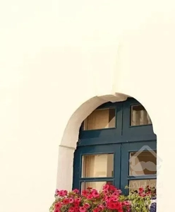 250متر آپارتمان تکواحدی الف