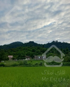 اجاره  ویلا جنگلی و روستایی