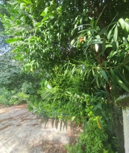 اجاره ویلا150متر دریاگوشه متلقو(سلمانشهر)