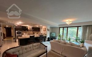 ۲۵۰متر در محله خوشنام محمودیه ( الف ب ج )