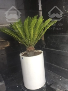 خرید واحد ۵۰ متری اقساطی چیتگر تهران ایران