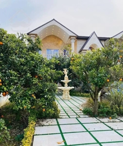 هم دریا هم تهران هم جنگل فاصله حداکثر داری