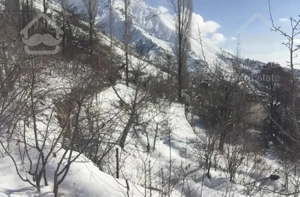 ٣١٠ متر ویلا درامامه