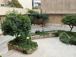 زعفرانیه ۲۴۵متر ثارالله