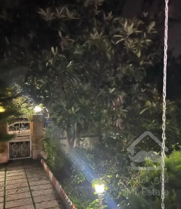 دوبلکس ، مستقل ، جنگلی