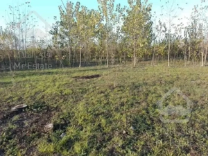 ۳۰۰۰متر زمین