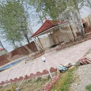 جوشکار حرفه ای