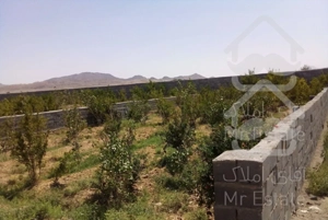 باغ داخل بافت درخلج اباد