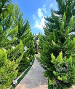 لواسان کوچک ۷۵۰متر بنای تریبلکس در ۸۲۰متر زمین