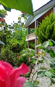 اجاره خانه ویلا