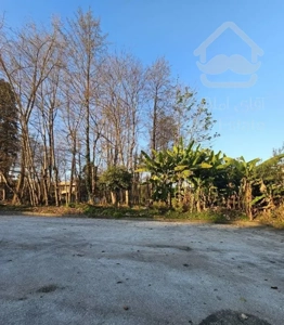 زمین ۸۰۰ متری نزدیک جنگل در شهرک امیردشت