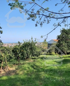 اجاره روزانه ویلای جنگلی ۱۰۰ متری/سرولات چابکسر