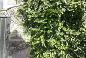 اجاره خانه حیاط دماوندگیلاوندمحک