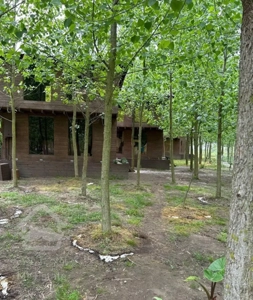 هایپر لوکس ترین سازه اعیان نشین دردل جنگل