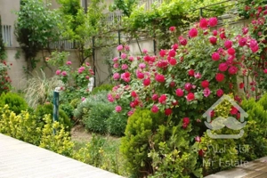 فروش کلنگی زعفرانیه 600  متر