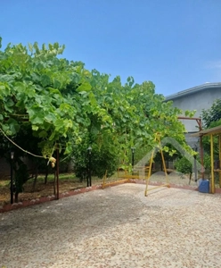 ویلا باغ ۳۵۰ متری همراه با ۴۵تا درخت میوه
