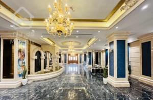 ۱۱۵م برج مجلل رونیکا پالاس طبقات بالا سرمایه گذاری