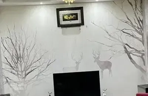 سوییت ۶۰ متری تک خواب اسپیلت