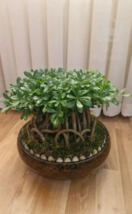 سهروردی شمالی ۵۹ متر نوساز ویو ابدی باامکانات