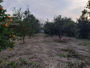 سرمایه گذاری باسودصددرصد