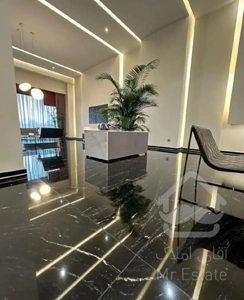 فروش واحد نور مستقیم لاکچری جنوبی شمالی تمیز دیزاین شده