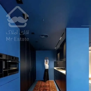 حیاط و لنداسکیپ اختصاصی/۲۶۵ متر پنت هاوس