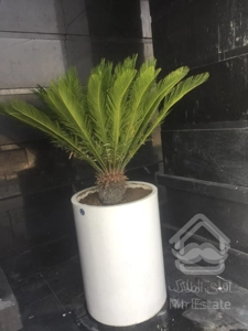 خرید واحد ۵۰ متری چیتگر اقساطی