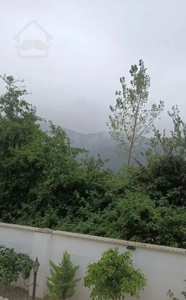 فروش ویلا. شمال نمک ابرود