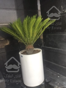 واحدهای ۴۰ متری / اقساطی / چیتگر