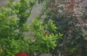 فروش خانه ویلایی ۱۲۰ متری ۲ خوابه