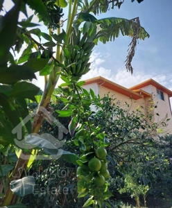 ۶۰۰ متر ویلا باغ محمودآباد بونده سند تک‌برگ مسکونی