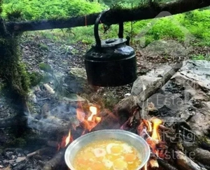 سوئیت‌‌کنارجنگل