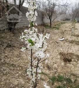 باغ 1600متر سند دار چهارباغ، رامجین